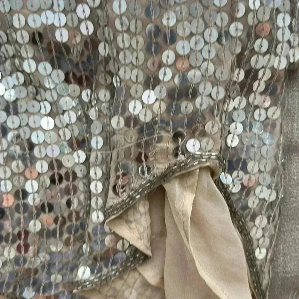 Haute Hippie XS Silver Sequence dress - Picture 9 of 12